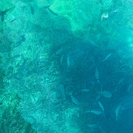 Chez Claudine & Adrien Vakantiehuis *