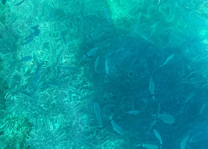 Chez Claudine & Adrien Semesterbostad *