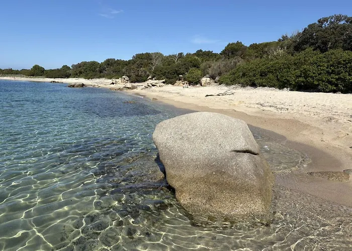 Chez Claudine & Adrien Semesterbostad Figari (Corsica)